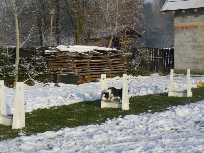 P1180426.jpg